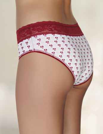 Sahinler Slip für Damen D-3065 - Thumbnail